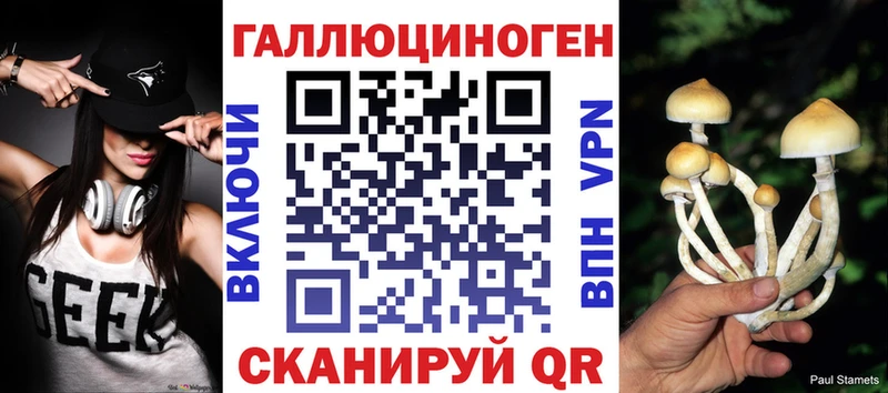 Купить закладки  Мышкин  Псилоцибиновые грибы GOLDEN TEACHER 